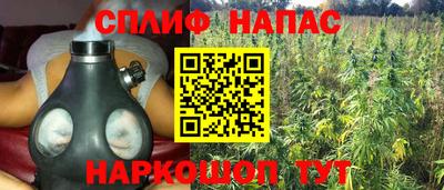 бошки Ставрополь