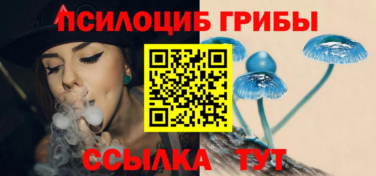 Курган  Галлюциногенные грибы ЛСД  Вход с VPN 