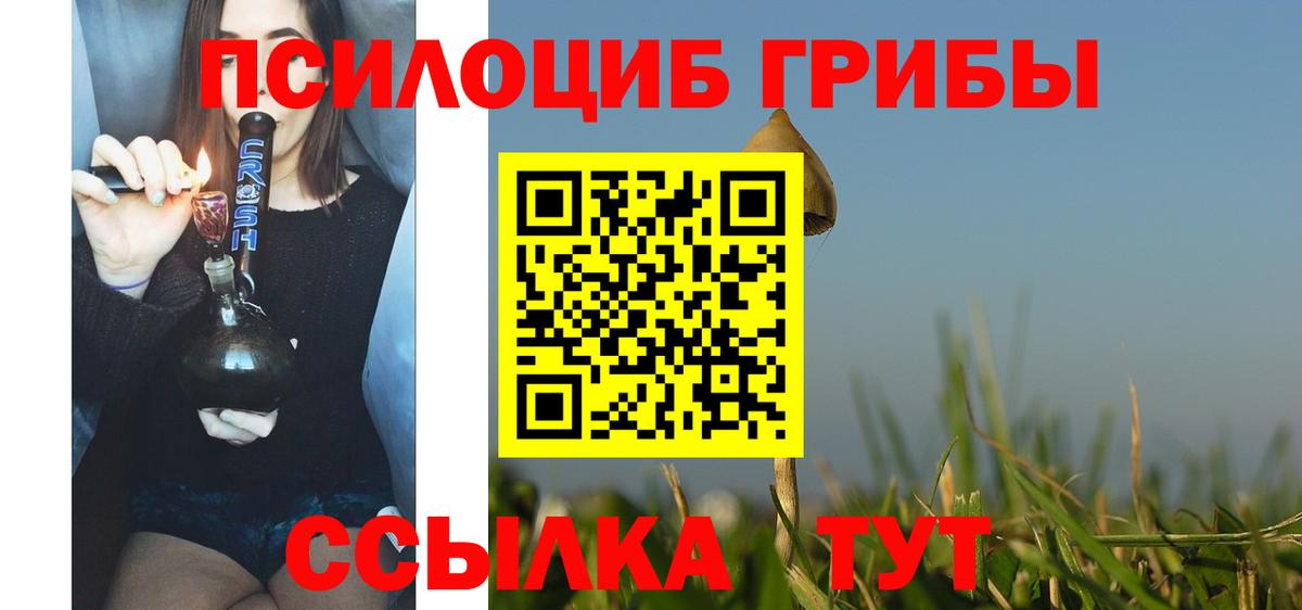 Псилоцибиновые грибы Psilocybine cubensis Курган